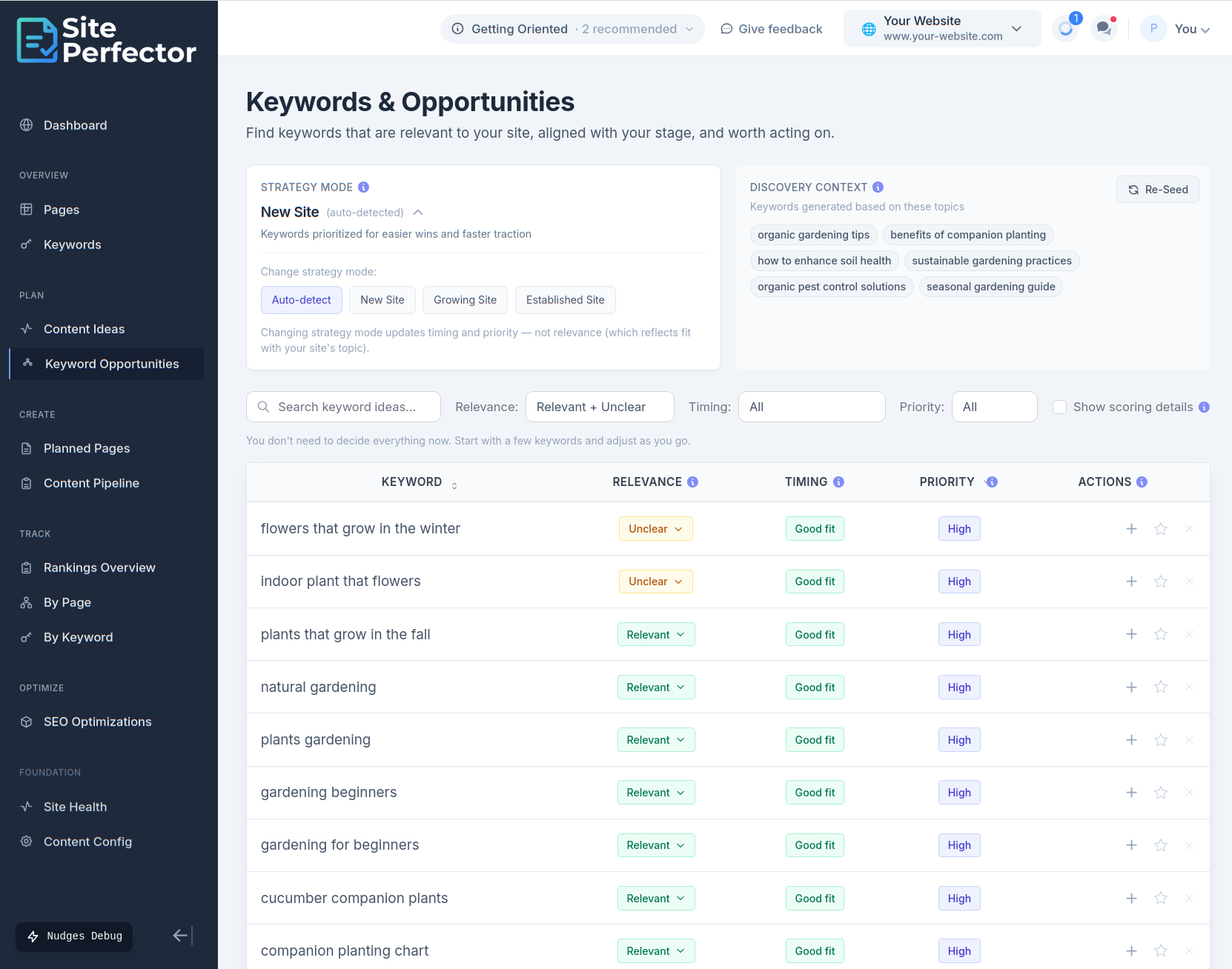 Site Perfector - Auto-discover topics and ranking opportunities